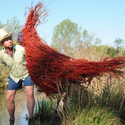 Cardinal - willow and pigment - 2m x 2m - by Mark Antony Haden Ford