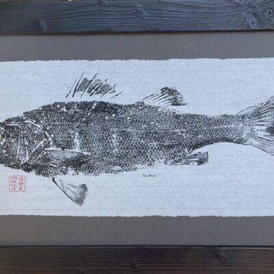 Sea Bass - Acrylic on Rice Paper. - 63cm x 38cm - by Mark Maidment
