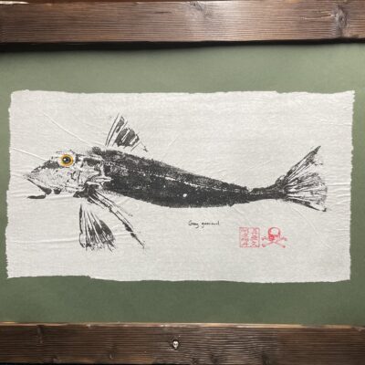 Grey Gurnard - Acrylic on Rice Paper. - 50cm x 42cm - by Mark Maidment