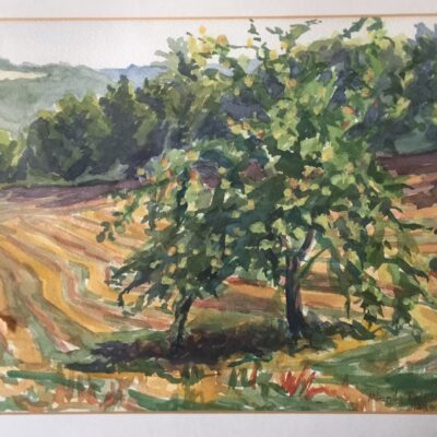 Lot, France - landscape with Fruit Trees - watercolour - 30 x 40 cm - by Miranda Phillimore