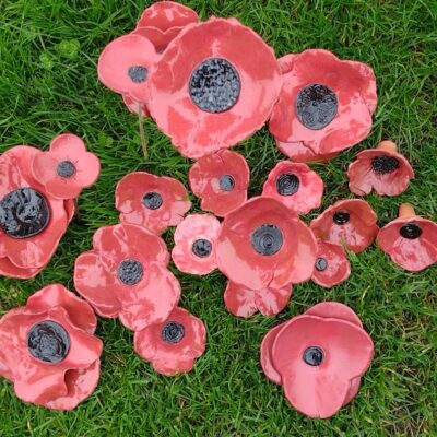 Poppies - Ceramic - terracotta - 8cm - 15 cm - by Patricia Marshall