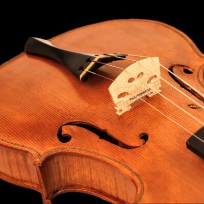 Fiddle - Maple, Ebony, Spruce - 60cm x 30cm x 20xcm - by Paul Fremantle