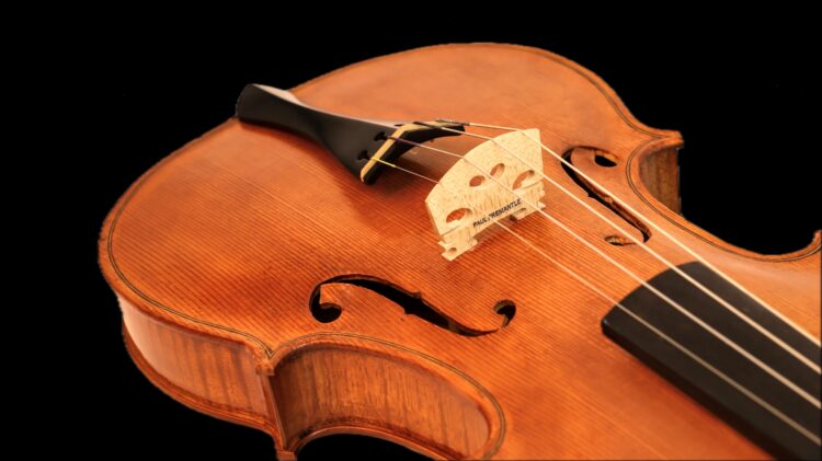 Fiddle - Maple