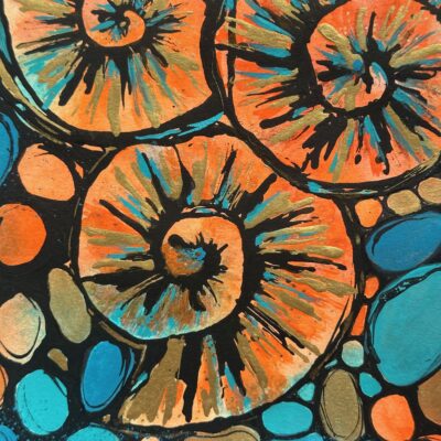 Ammonites - Mixed Media - 22 x 30 cms - by Sandra Hawkins