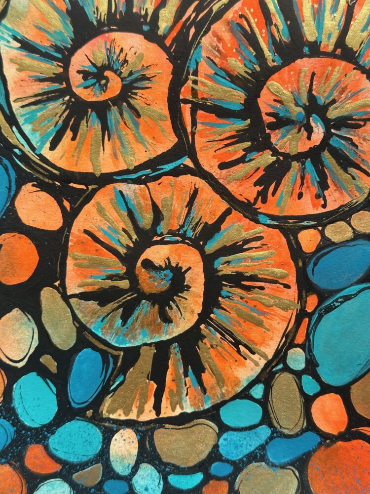 Ammonites - Mixed Media