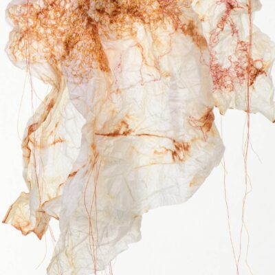 Autumn Wrap - Natural dye on paper and stitch - 30 cm x 50 cm x 10 cm - by Anita Bell