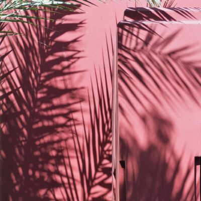 The Secret Garden - Photograph - 16 inches by 12 inches - by Julia Lampam