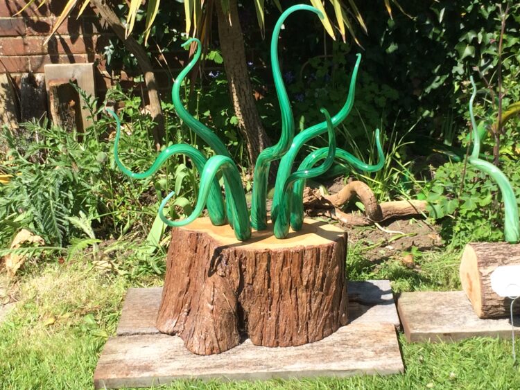 Tentacles in Wood 3 - Glass and wood