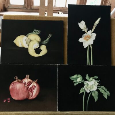 lemons, narcissus, pomegranate, hellebore - egg tempera on gessoed board - 16cm x 11cm - by Sue Viner