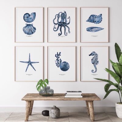 A selection of sea creature artworks - Pen and ink with pencil - pen and ink - 30 x 42cm - by Victoria Arnott-Ridel